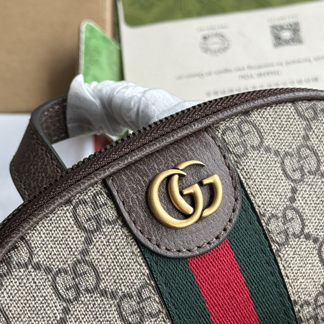 Gucci Waist Chest Packs